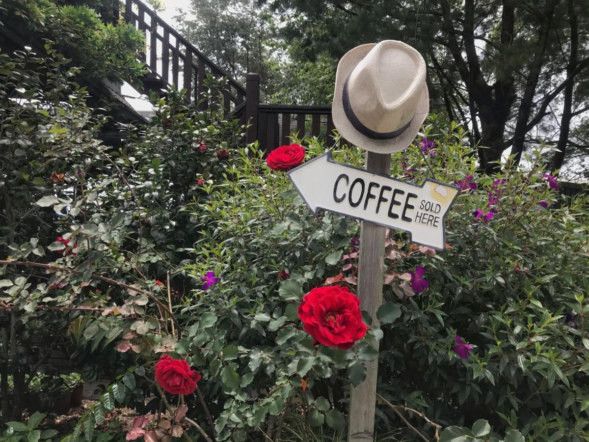 Tian Hsiang Tea B&B Zsenaj Kültér fotó
