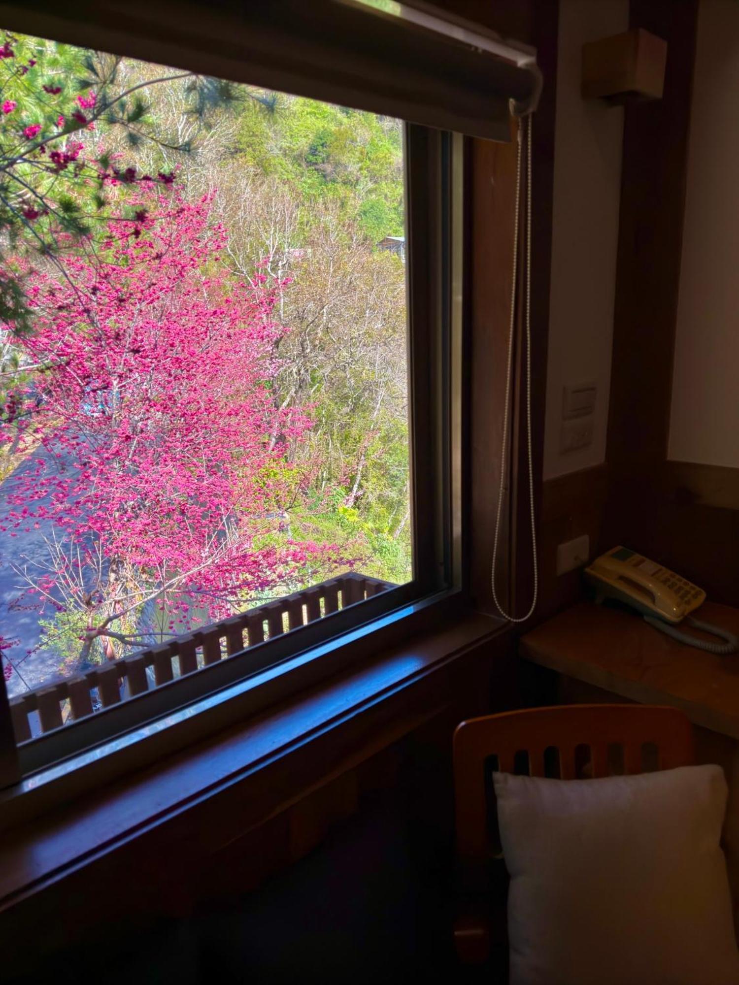 Tian Hsiang Tea B&B Zsenaj Szoba fotó